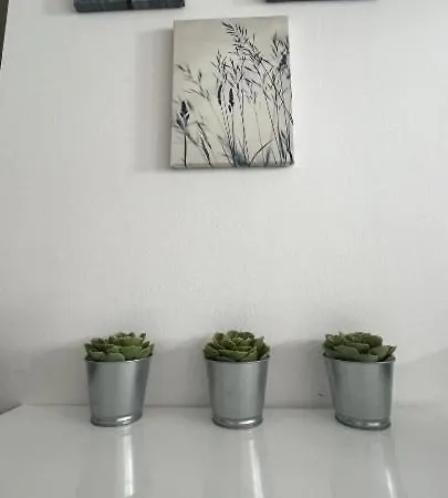 Apartma Rakita *